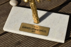 ABS plastikāta plāksnīte balvām gold brushed