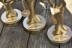 ABS plastikāta plāksnīte balvām gold brushed