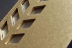 DĀVANA GODARAKSTS KOKA RĀMĪ