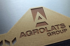 DĀVANA GODARAKSTS KOKA RĀMĪ