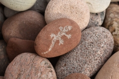 Akmens ar gravētu ķirzaku