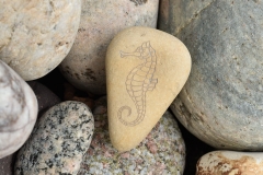 Akmens ar gravētu jūras zirdziņu