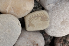 Akmens ar gravētu  zivs skeletu