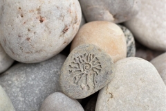 Akmens ar gravētu fosiliju