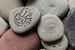 Akmens ar gravētu fosiliju