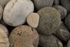 Akmens ar gravētām Zodiaka zīmēm