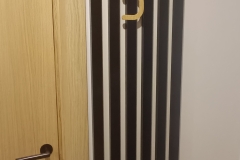 KOKA CIPARI UN SIENAS PANEĻI
