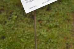 Nerūsējošā tērauda plāksne ar gravējumu uz nerūsējošā tērauda kājas.