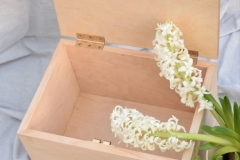 Kaste ar gravējumu uz vāka