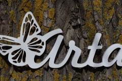 Dizaina elements ar tauriņu.