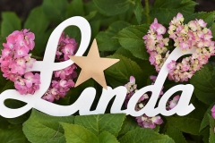 Dizaina elements,  koka burti ar zelta krāsas zvaigzni.