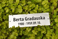 GRAVĒTA NERŪSĒJOŠĀ TĒRAUDA PLĀKSNE KRUSTAM