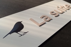 PLĀKSNĪTE AR ISTABIŅAS NOSAUKUMU