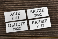 LĀZERGRAVĒTAS ALUMĪNIJA PLAKSNĪTES