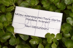 PLĀKSNĪTE DĀVANAI