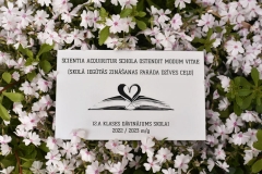 PLĀKSNĪTE DĀVANAI