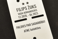 PLĀKSNĪTE DĀVANAI