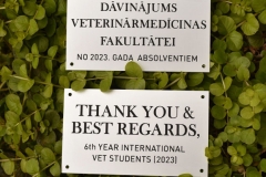 PLĀKSNĪTE DĀVANAI