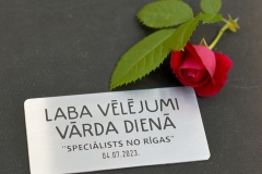 PLĀKSNĪTE DĀVANAI