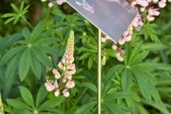 ALUMĪNIJA PLAKSNĪTE AR GRAVĒTU TEKSTU