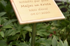 Gravējums misiņā uz koka pamatnes ar metāla kāju.