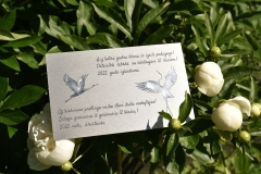 ALUMĪNIJA PLAKSNĪTE AR GRAVĒTU TEKSTU