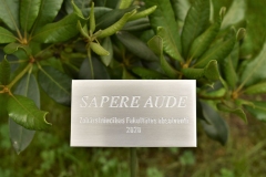 NERŪSĒJOŠĀ TĒRAUDA PLĀKSNE AR GRAVĒJUMU.