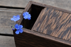 Kastīte no venges koka bez apstrādes.